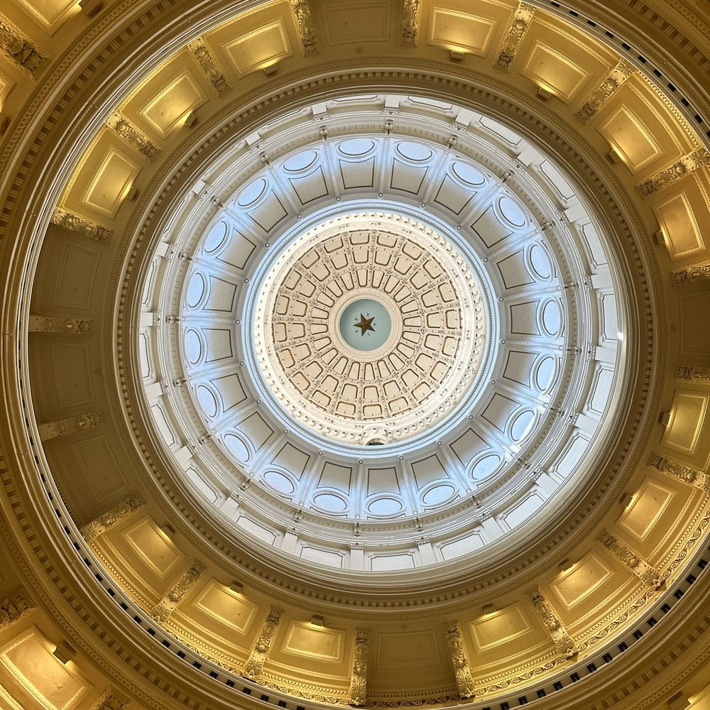 Meet your Posher, Shayna